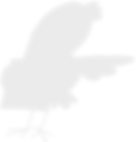Bunter Vogel